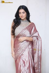 telugu actress rashi singh in a shiny pink saree