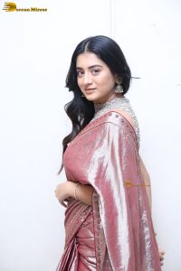 telugu actress rashi singh in a shiny pink saree