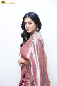 telugu actress rashi singh in a shiny pink saree