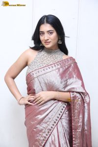 telugu actress rashi singh in a shiny pink saree