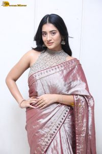telugu actress rashi singh in a shiny pink saree