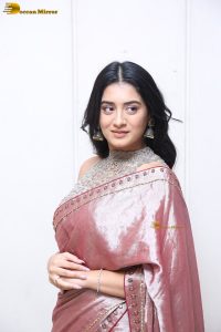 telugu actress rashi singh in a shiny pink saree