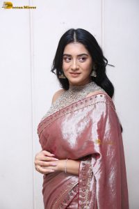 telugu actress rashi singh in a shiny pink saree