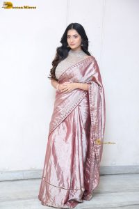 telugu actress rashi singh in a shiny pink saree