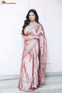 telugu actress rashi singh in a shiny pink saree