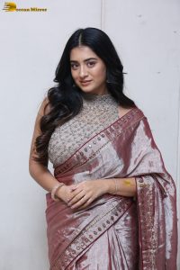 telugu actress rashi singh in a shiny pink saree