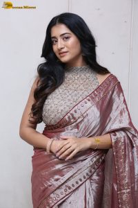 telugu actress rashi singh in a shiny pink saree