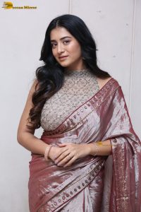 telugu actress rashi singh in a shiny pink saree