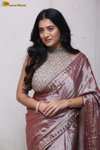 telugu actress rashi singh in a shiny pink saree