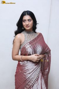 telugu actress rashi singh in a shiny pink saree