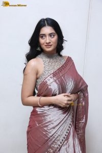 telugu actress rashi singh in a shiny pink saree