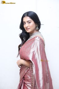telugu actress rashi singh in a shiny pink saree