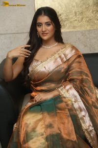 Indian actress rashi singh gorgeous in a gold color saree