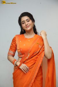 actress rashi singh gorgeous in a orange saree