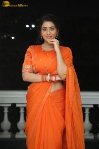 actress rashi singh gorgeous in a orange saree