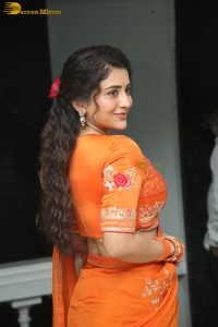 actress rashi singh gorgeous in a orange saree