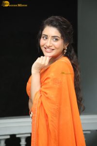 actress rashi singh gorgeous in a orange saree
