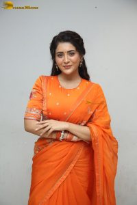 actress rashi singh gorgeous in a orange saree