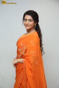 actress rashi singh gorgeous in a orange saree