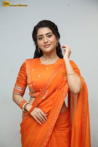 actress rashi singh gorgeous in a orange saree