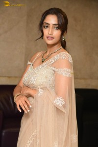 Indian actress reba monica john hot photoshoot in a saree