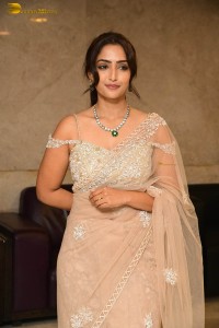 Indian actress reba monica john hot photoshoot in a saree