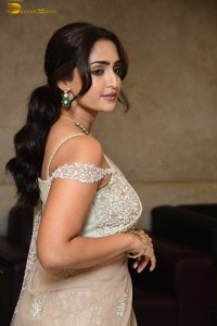 Indian actress reba monica john hot photoshoot in a saree