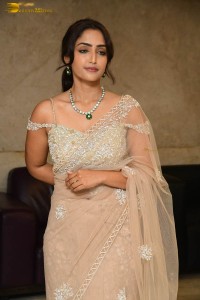 Indian actress reba monica john hot photoshoot in a saree