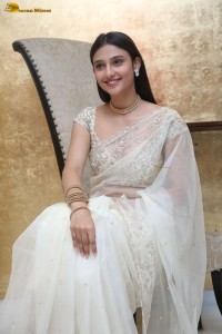 actress Ritika Nayak sizzling looks in a white saree