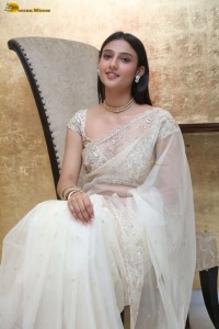 actress Ritika Nayak sizzling looks in a white saree
