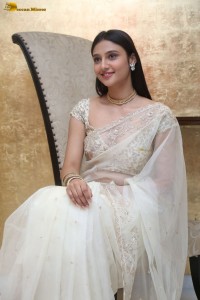 actress Ritika Nayak sizzling looks in a white saree