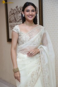 actress Ritika Nayak sizzling looks in a white saree