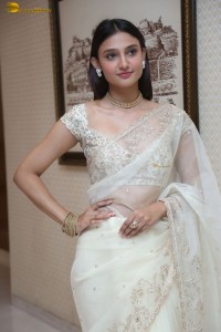 actress Ritika Nayak sizzling looks in a white saree