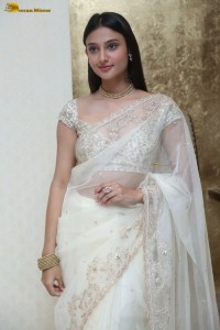 actress Ritika Nayak sizzling looks in a white saree