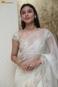 actress Ritika Nayak sizzling looks in a white saree