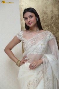 actress Ritika Nayak sizzling looks in a white saree