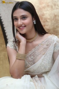 actress Ritika Nayak sizzling looks in a white saree