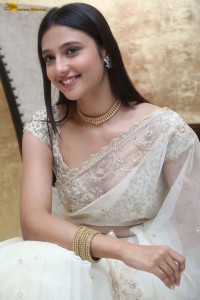 actress Ritika Nayak sizzling looks in a white saree