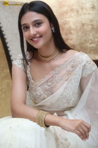 actress Ritika Nayak sizzling looks in a white saree