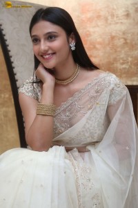 actress Ritika Nayak sizzling looks in a white saree