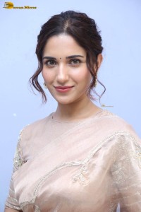 actress ruhani sharma cute photoshoot in a saree