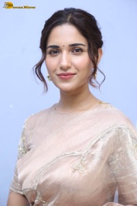 actress ruhani sharma cute photoshoot in a saree