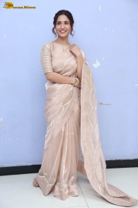 actress ruhani sharma cute photoshoot in a saree