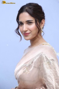 actress ruhani sharma cute photoshoot in a saree