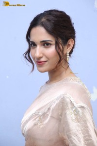 actress ruhani sharma cute photoshoot in a saree