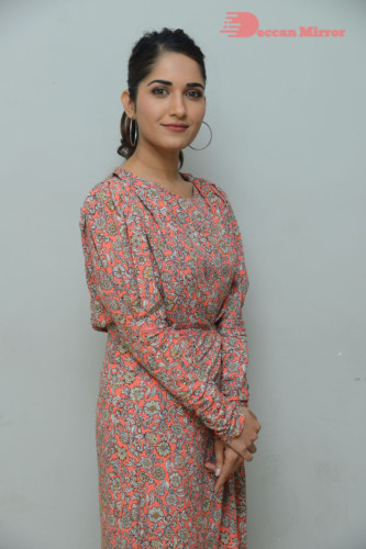 Telugu Actress Ruhani Sharma photoshoot in a orange dress