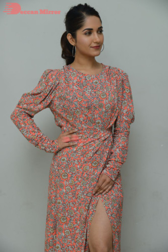 Ruhani Sharma Picture Gallery 2