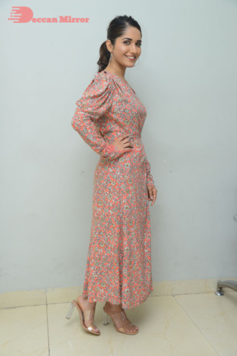 Telugu Actress Ruhani Sharma photoshoot in a orange dress