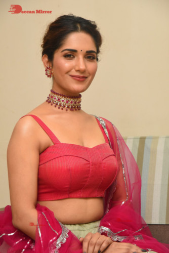 Telugu Actress Ruhani Sharma photoshoot