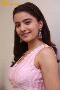 Actress Rukshar Dhillon in a pink dress